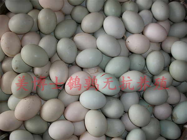 微信图片_20191221141329--1_副本